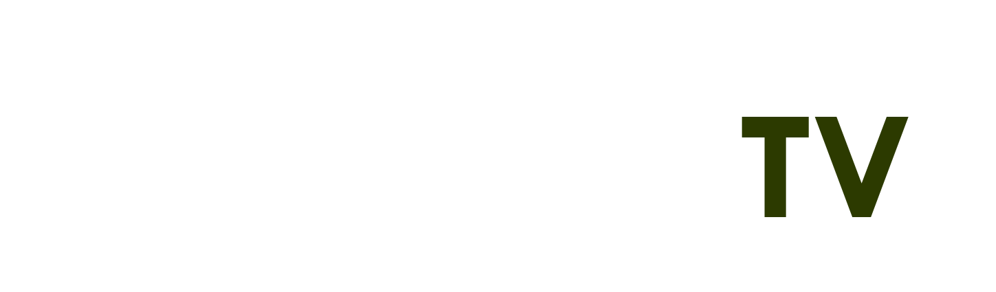 hình cặp